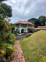 Mount Pleasant Road (D11), Detached #484359101